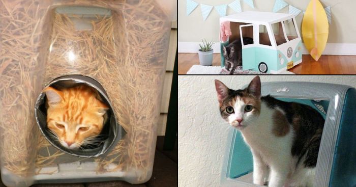 Diy house for cats