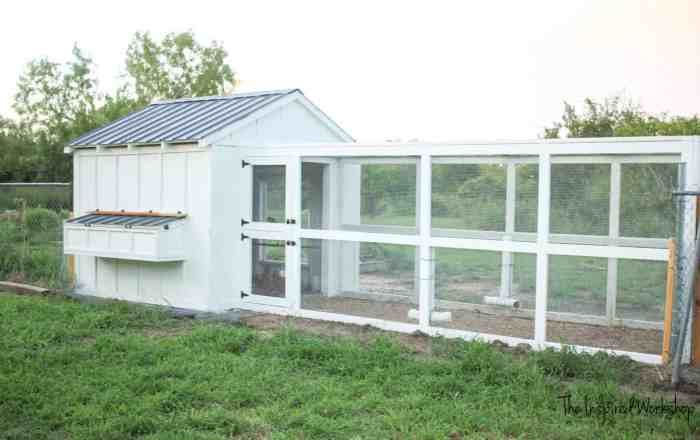 Diy chicken coop with run