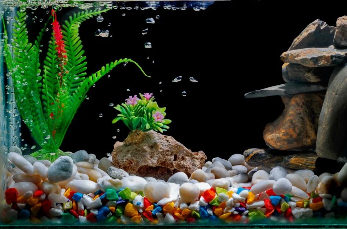 Diy fish tank decorations aquarium