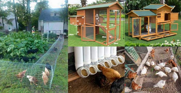 Diy chicken coop with run