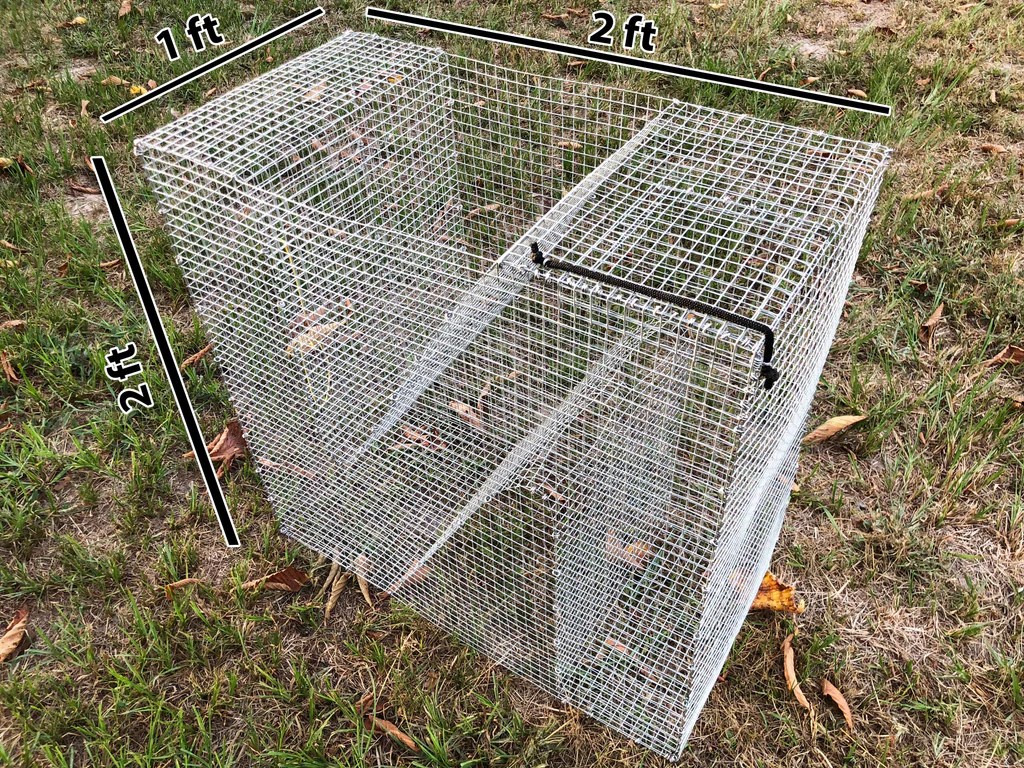 Diy fish trap