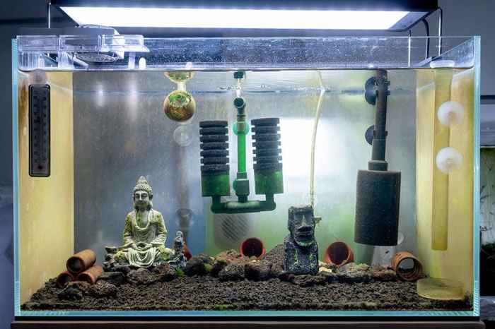 Diy aquariums cool creative diyjoy