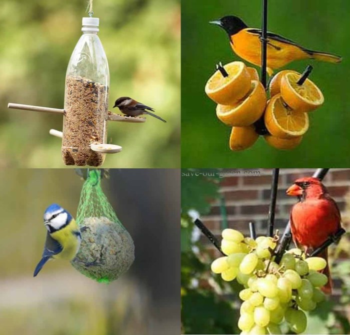 Diy bird food